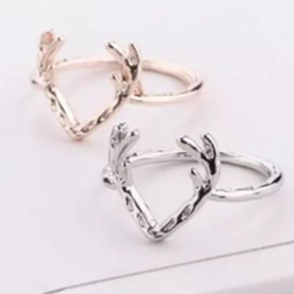Nordic Ring
